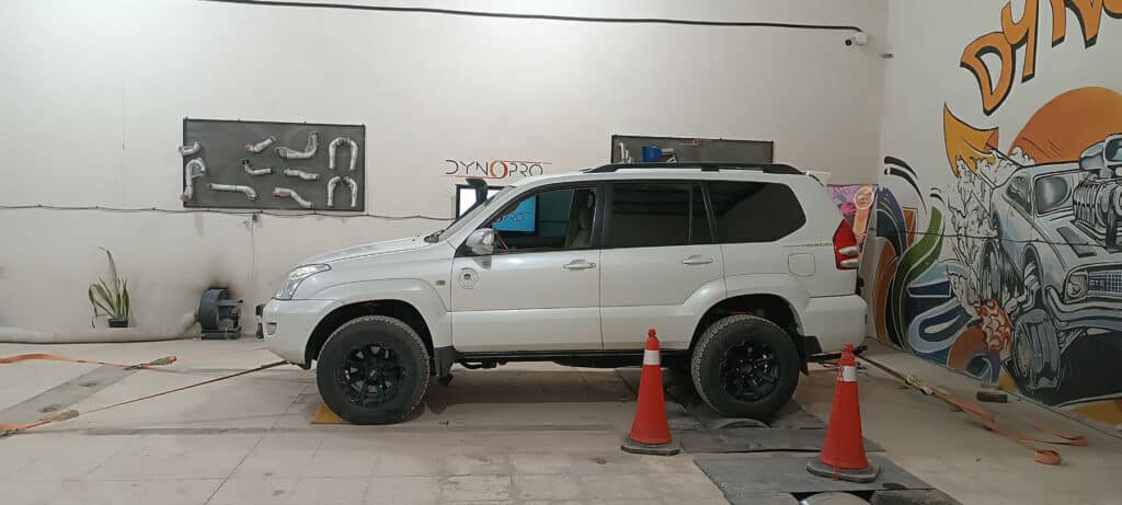 داینو چیست؟